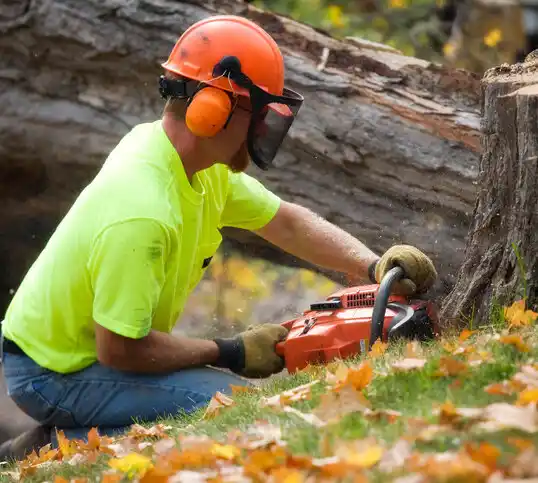 tree services Janesville